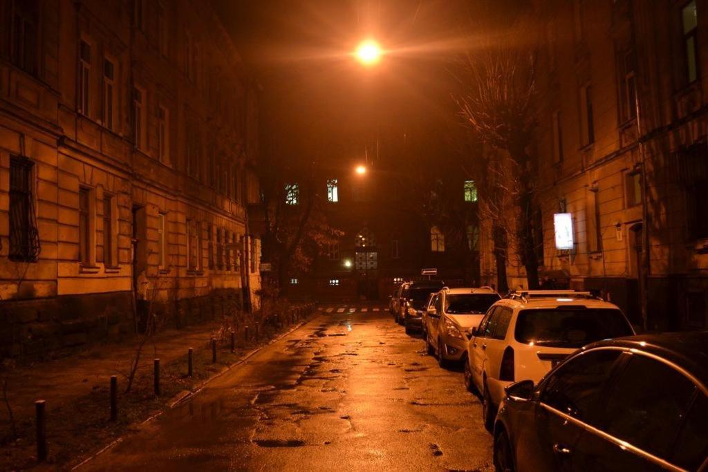 Cozy apartment Lwów Zewnętrze zdjęcie