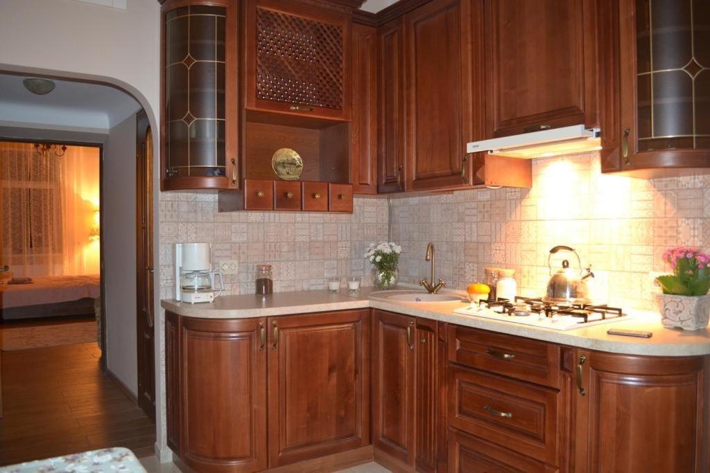Cozy apartment Lwów Zewnętrze zdjęcie